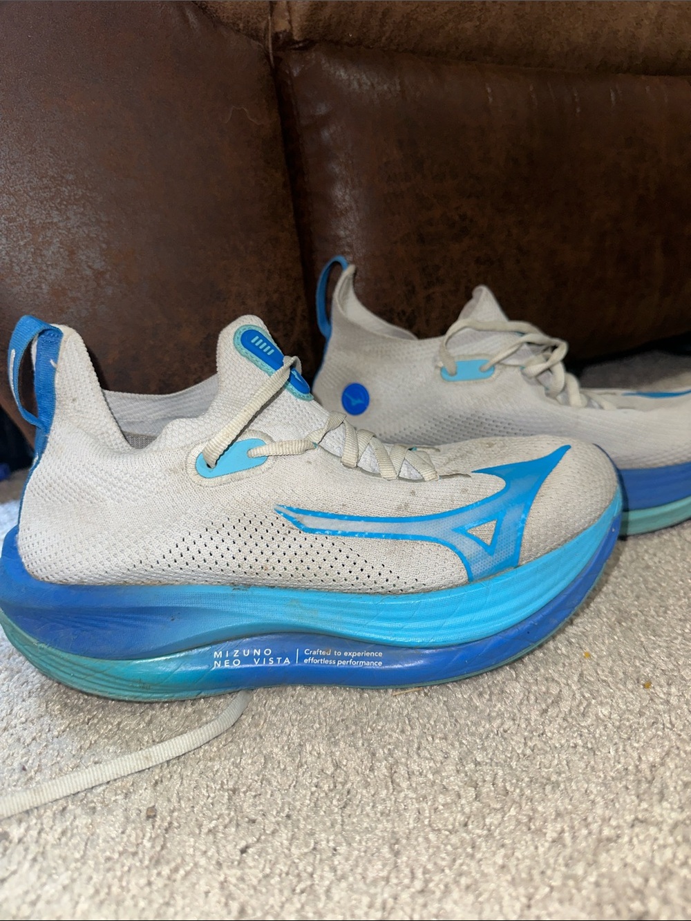 Mizuno Neo Vista Super shoe running shoes